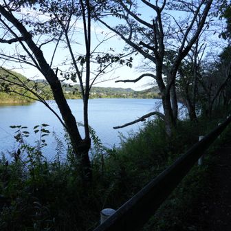 川沿いの道
