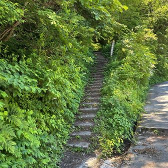 前回はユートピアだったので、今回は夏山登山道を選択。