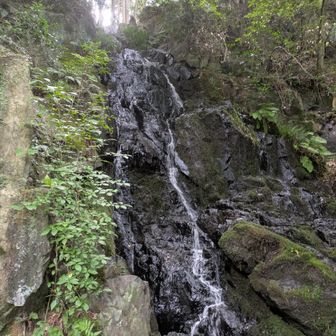 楼門の滝