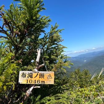 藪漕ぎ、根っこ、ぬかるみ…道幅狭過ぎ😭