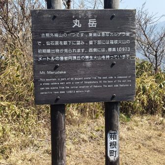 丸岳からの眺望が良い👍️
日曜の午後、スタート地点から遠いせいか誰もいない