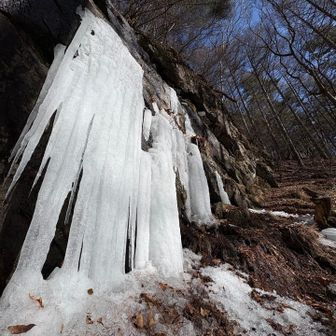 とりあえず
迫力あるように
パシャリ📸