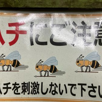 蜂はあまり見かけられません？
