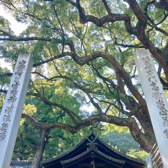 御神木のパワーが凄い✨