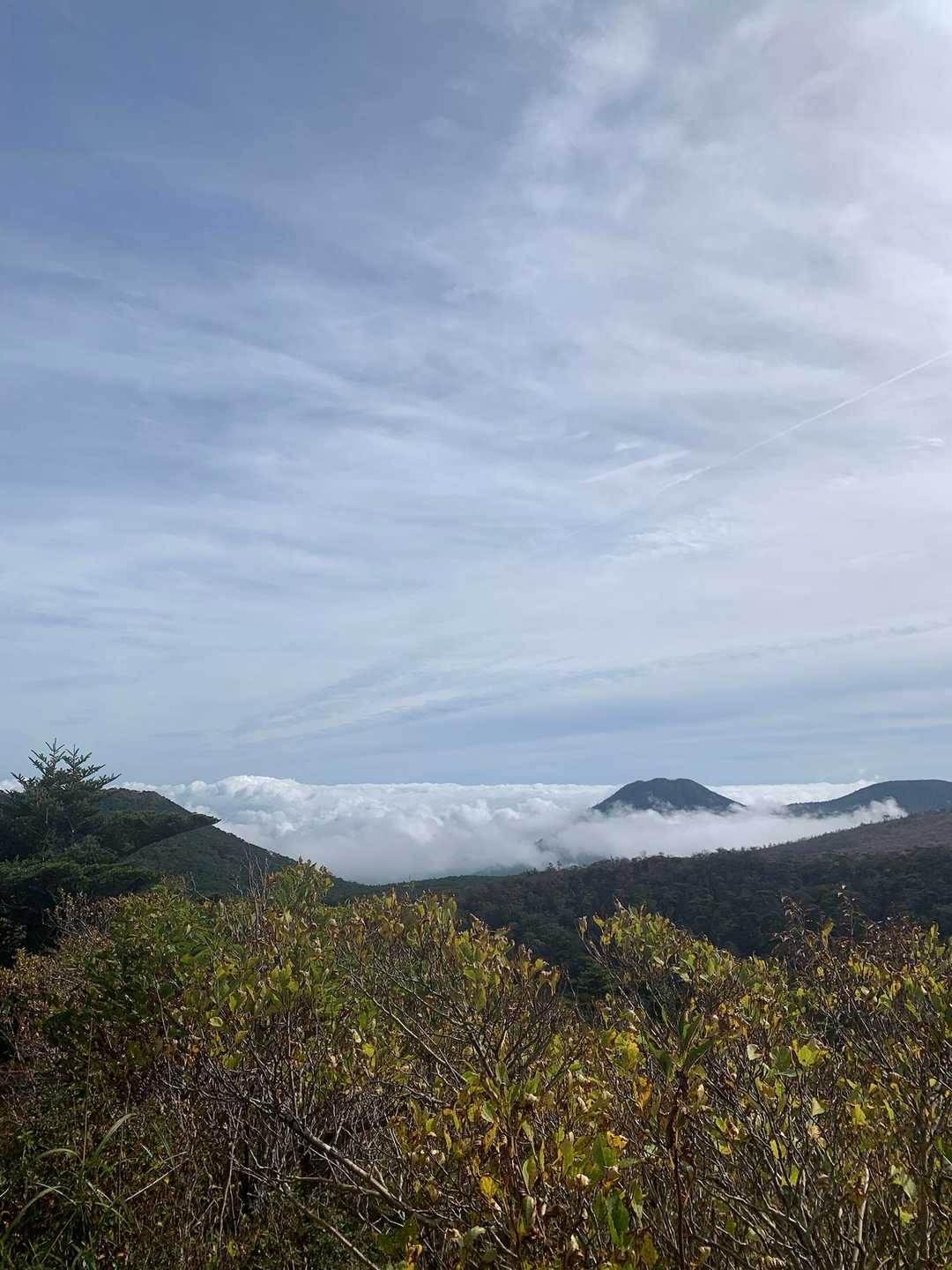 神秘的な水面をめぐる白鳥山往復コースの写真