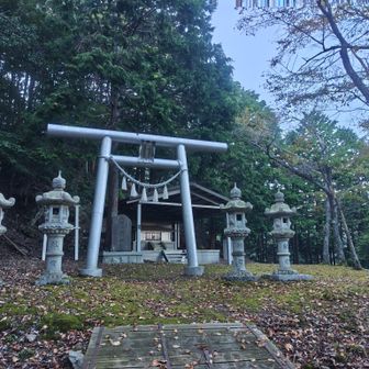 下りの林道も、ひたすらお話しまくりで…あっという間に神社を通過〜🐣

色々と養老や界隈のお話を聞いて貰いましたが、この神社のなんたるか…は勉強不足でした💦💦
まず、神社の名前が読めませんでした😂