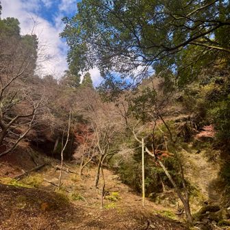 ここを登るのか？違うような気がする…でもここしかない