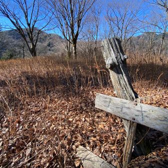 蓬平山頂付近、これが山頂標なのかなぁ？