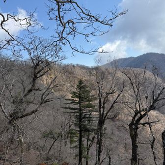 大室山までの稜線。気持ちよい稜線歩きができました。