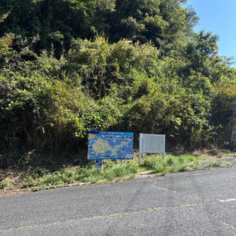 林道を下って県道へ
