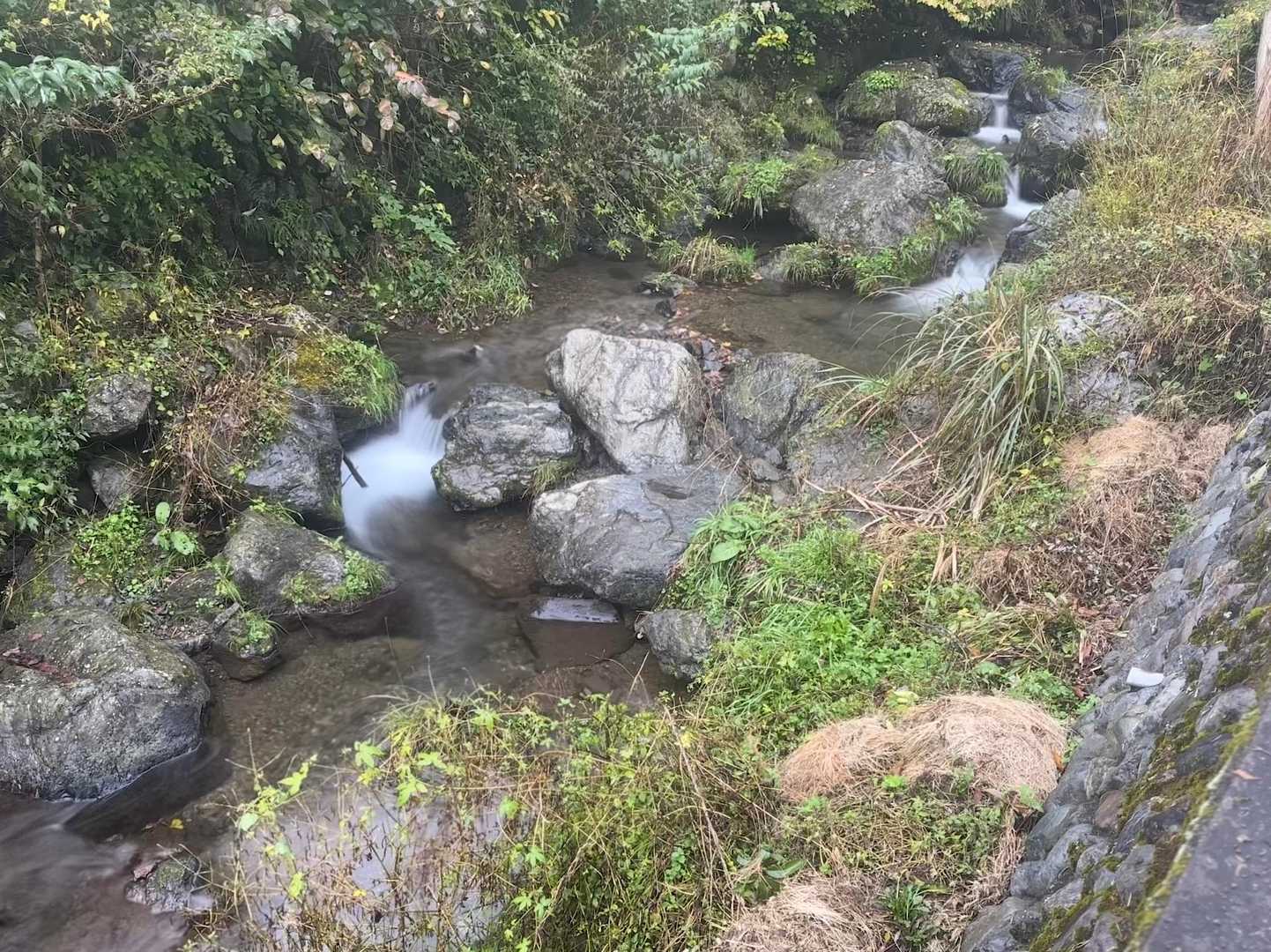 癒される〜