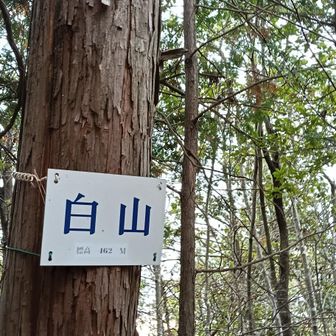 ササッと白山 到着。眺望無し通過のみ。