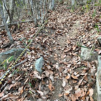 虎ロープ🐅
落ち葉で滑るので下りは虎ロープ様様でした😆
