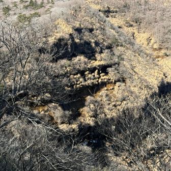 膳棚は 何もない 来週の寒波で凍ればいいね～