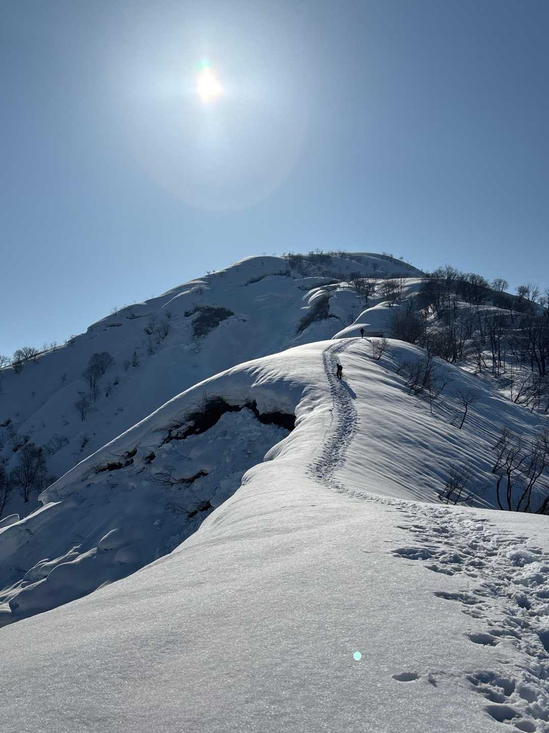 大力山 往復コースの写真
