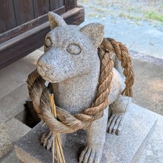 狛犬かなぁ〜？
🐶柴犬みた〜い！w
