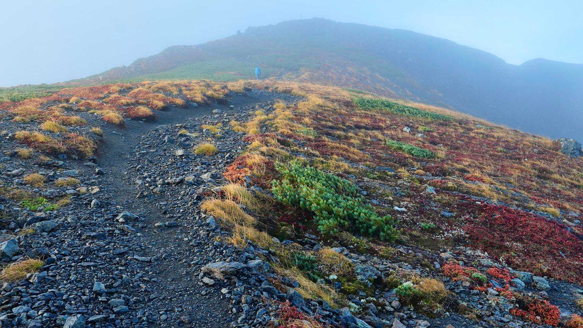 中白根山-間ノ岳-広河原登山口-広河原 縦走コースの写真