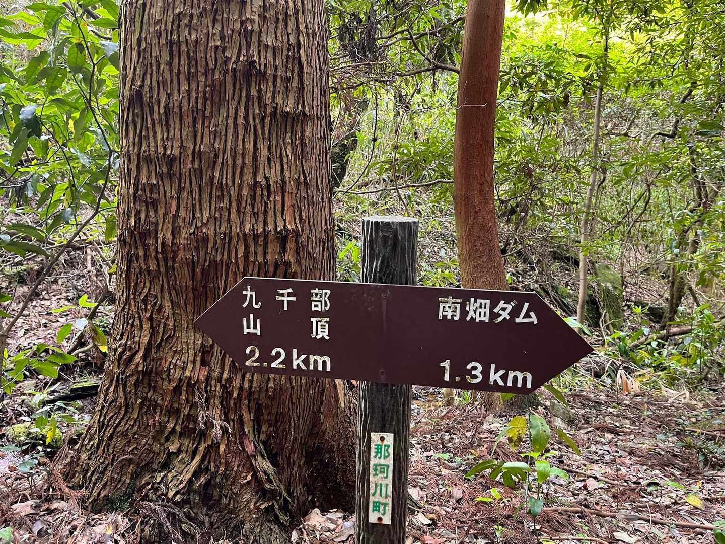 頑張って登ってるのに200mずつしか進まない標識😅