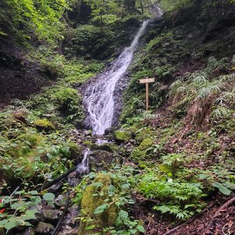 不動滝
水量豊富
