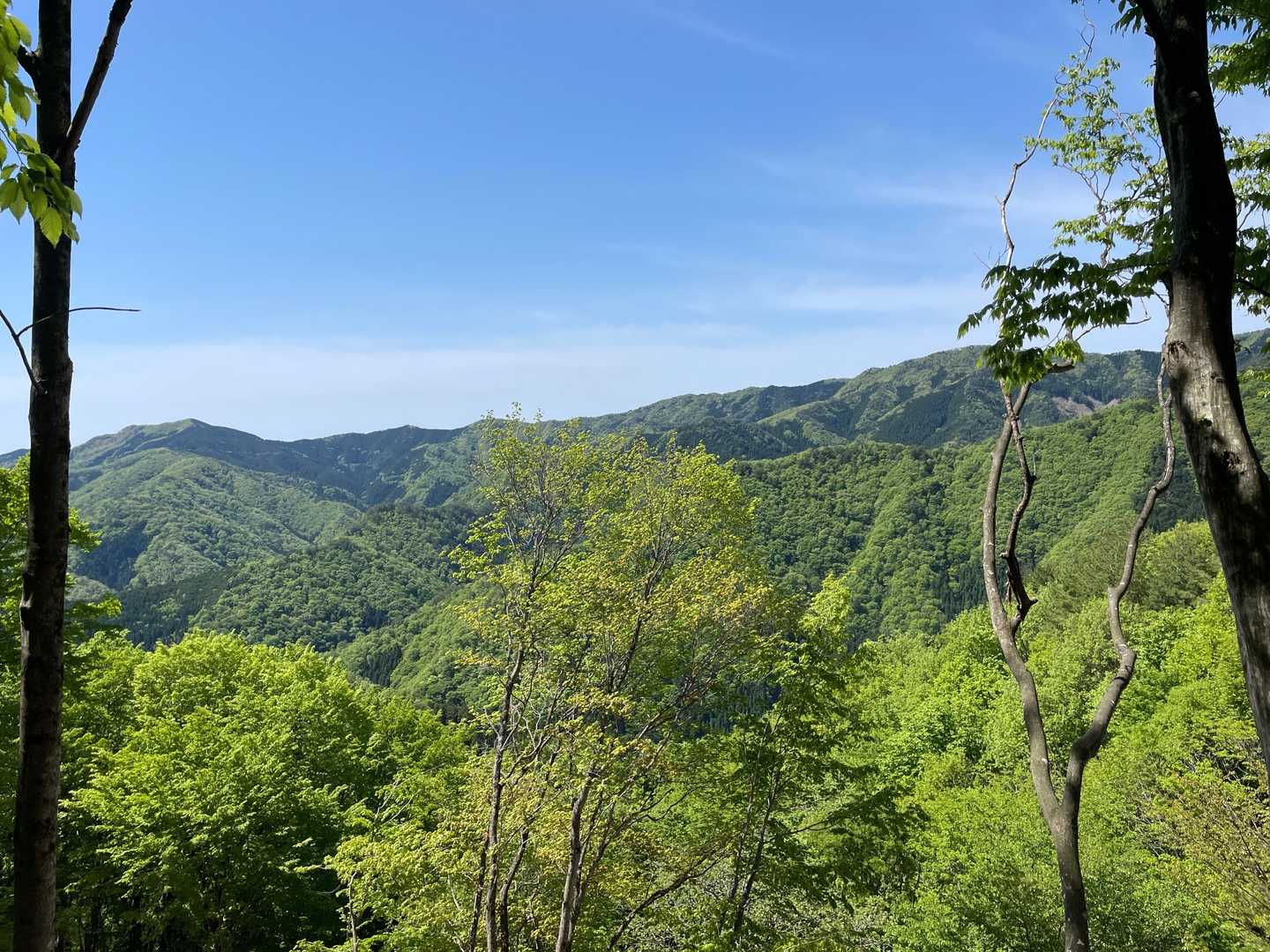 向かいのお山の稜線歩いてみたい