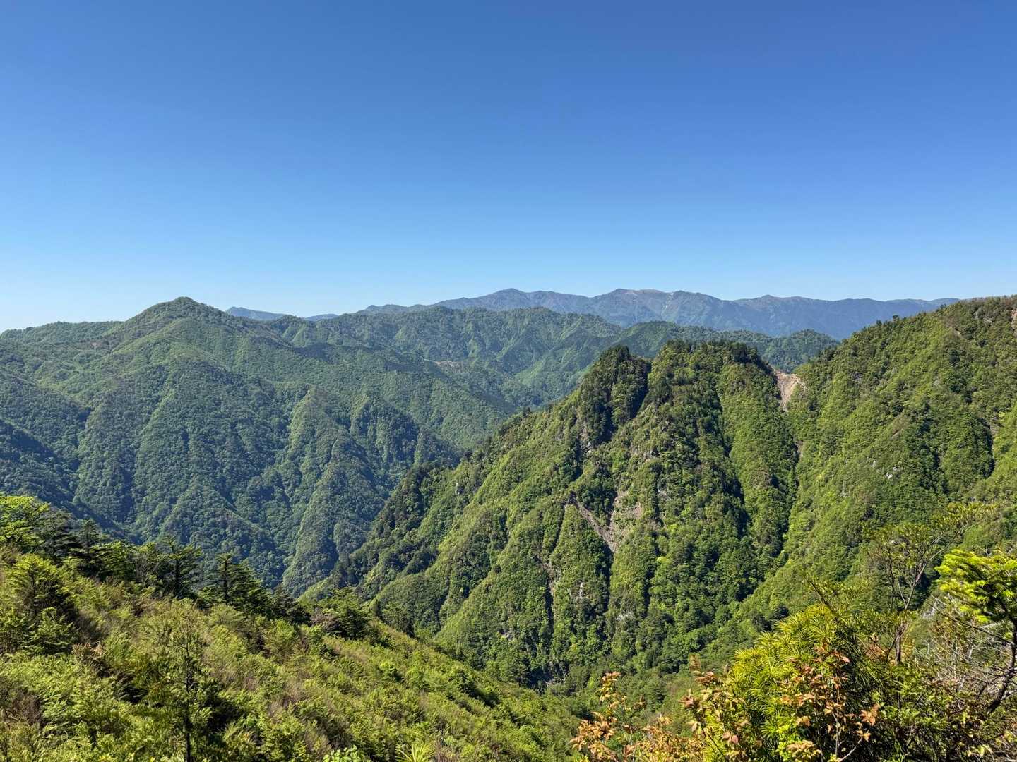 ウグイ谷ノ頭（左の三角形のおやま）と大台ヶ原（右遠景）