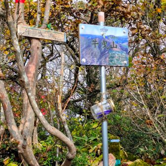 続いて牛曳山登頂