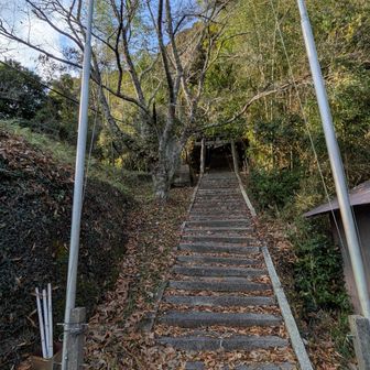 ここから太郎丸山へ