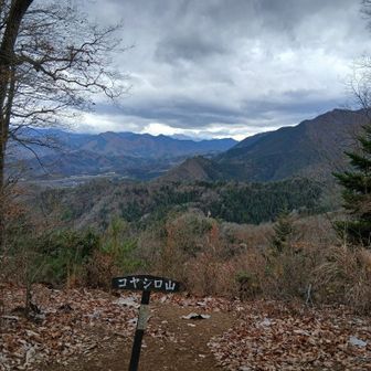 コヤシロ山まで戻って来た。結局富士山は一度もちゃんと見えなかった
