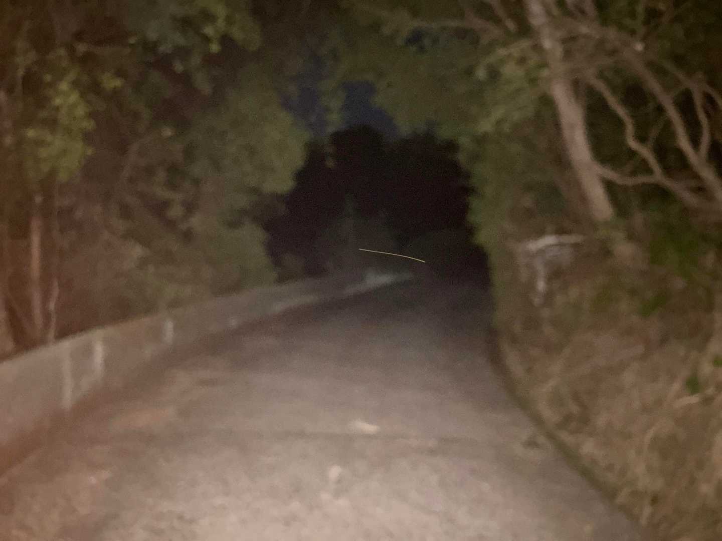 ホテルからランニング🏃‍♂️
大空山はロードで上がれるから走りやすい
