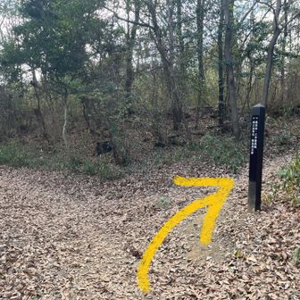 ではラストピークへ