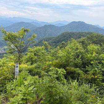 帰りは何て読むかわからん峠からそのまま下山するコースで小さく周回。