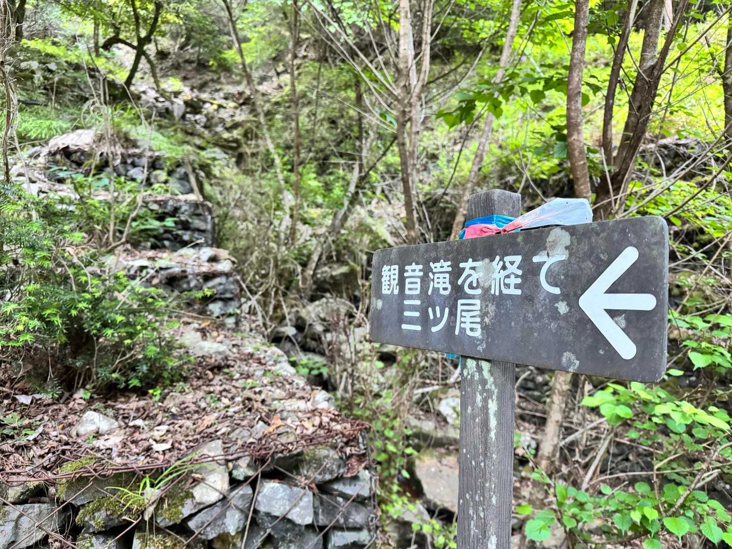 九折登山口-三ツ尾コース登山口-傾山-杉ヶ越-九折越 周回コースの写真