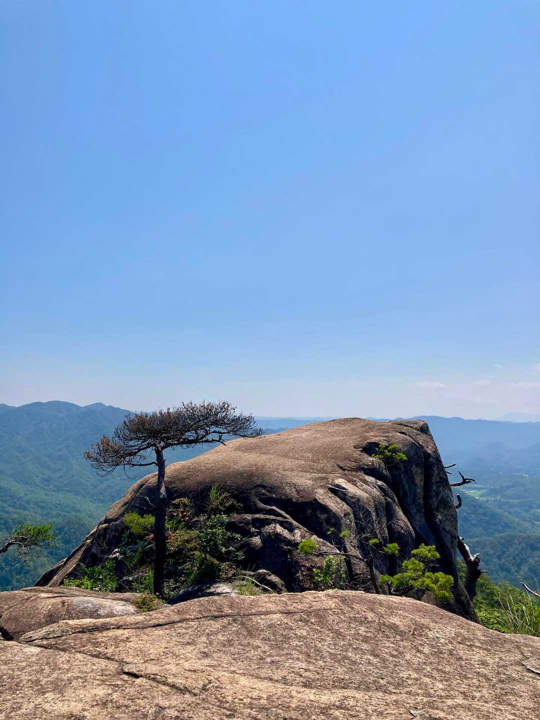 東登山口-河平連山 往復コースの地図・登山ルート・登山口情報 | YAMAP