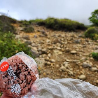 その前にお腹空いたのでオニギリ食うのだ😁
