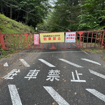 🚗でとっとと町に移動して