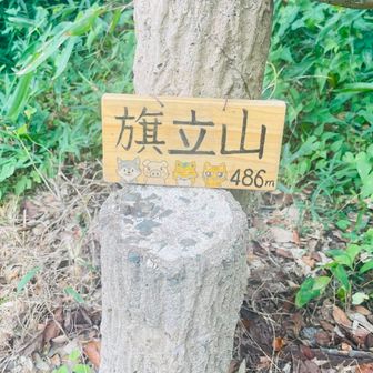 5座目
