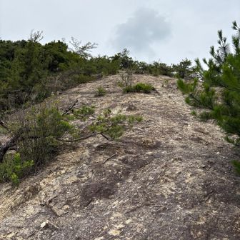 突然岩場