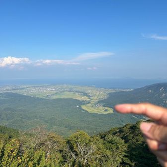 つんつん。