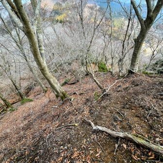 鍋尻山へ折り返します