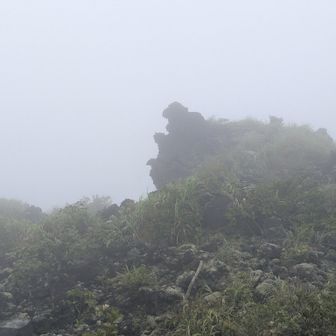 ゴジラ岩