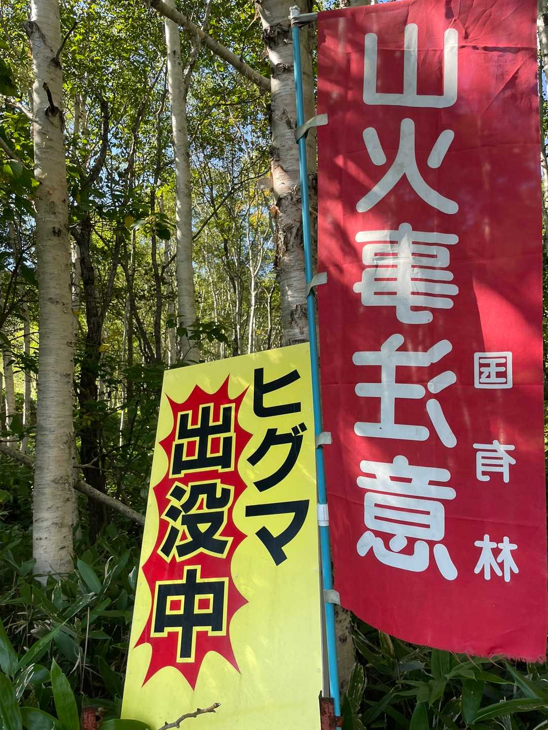 🐻熊スプレー買おうかなぁ…
