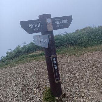 初日、松手山コース。
※平標山山頂。
9合目を過ぎた辺たりから、ガスに覆われてしまいました。