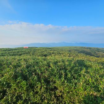 展望台から見た三ノ丸の溶岩台地。ここを山スキーで滑ったのは、楽しかったなぁ。
そういや後ろを滑っていた人がコケてスキー板の片方が外れ、そのまま主を置いて滑り続けたっけ。私も慌てて板を追いかけましたけど間に合わず、崖からジャンプするのを見送りました。