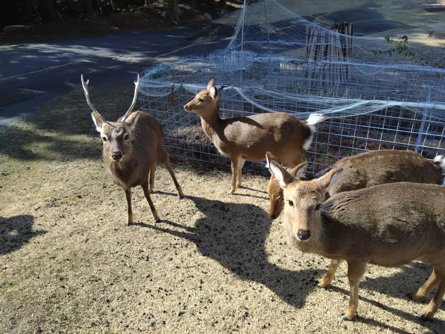 😅何もあげるものないのよ〜