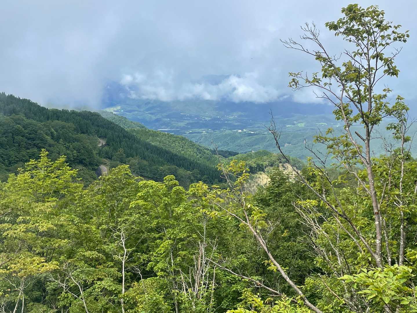 ひるがの高原見えます。