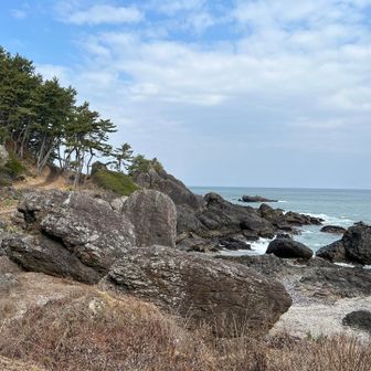 淀の松原の小道から
