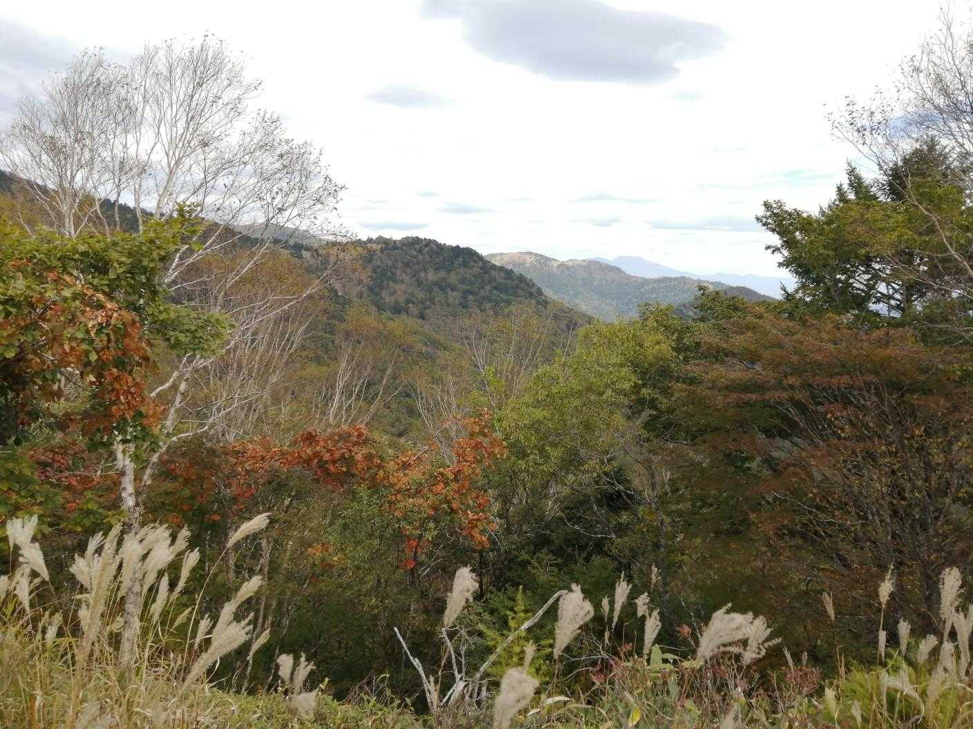 茶臼山 往復コースの写真