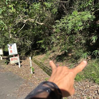 登山口／^o^＼どちらからも👌