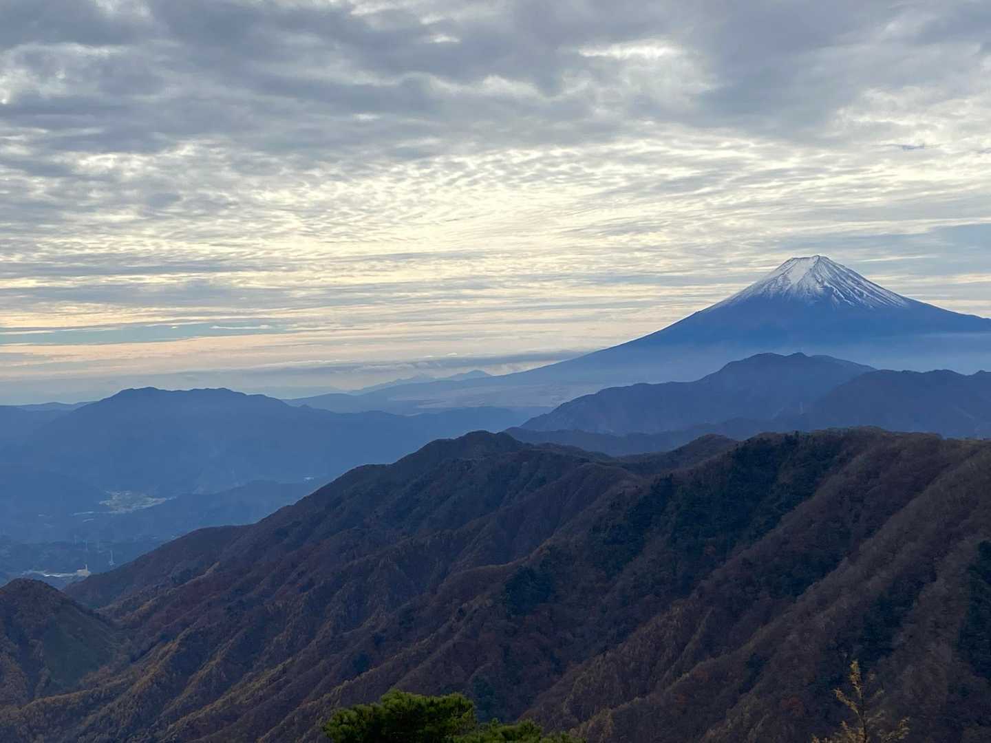 湯ノ沢峠登山口-湯の沢峠-大蔵高丸-ハマイバ丸-白谷ノ丸 周回コースの写真