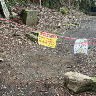 男坂は蜂の巣発見で閉鎖中🐝🐝🐝